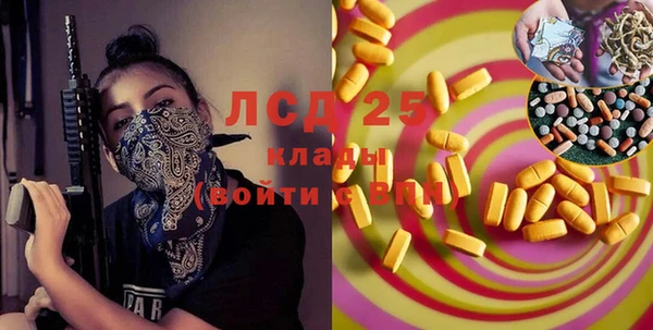 прущие грибы Новокубанск