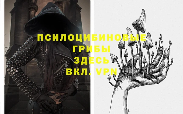 МДМА Новодвинск