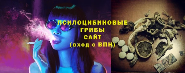 прущие грибы Новокубанск
