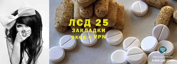 прущие грибы Новокубанск