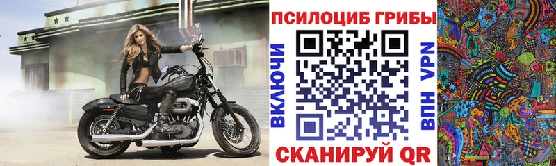 площадка формула  Рославль  Псилоцибиновые грибы Cubensis  купить наркоту 