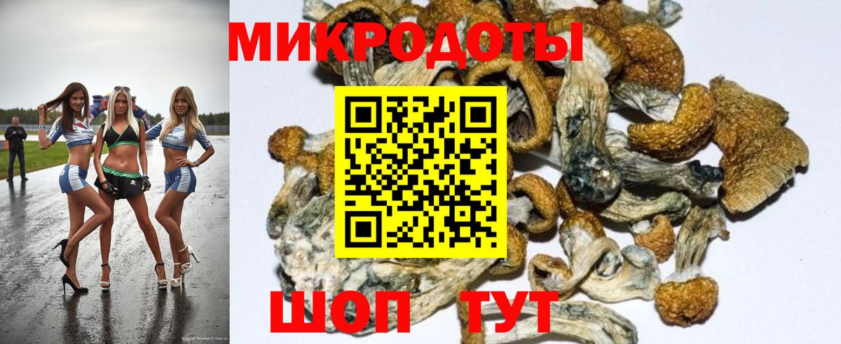 Галлюциногенные грибы Magic Shrooms Рославль